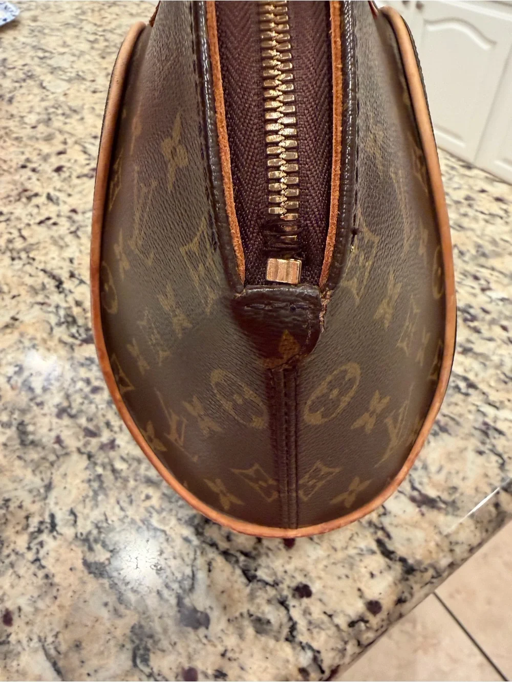 Louis Vuitton iconic monogram